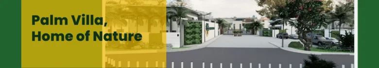 featured image showing palm villa