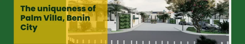 Feature image showing palm villa